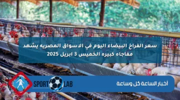 سعر الفراخ البيضاء اليوم في الأسواق المصرية يشهد مفاجأة كبيرة الخميس 3 إبريل 2025